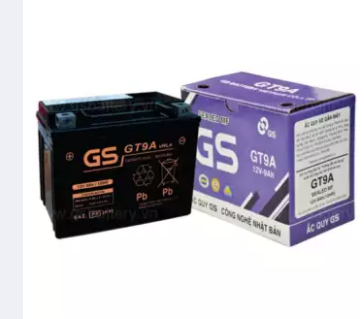 Bình Ắc Quy Khô GSBATTERY GS GT9A (Mã đặt hàng: 42657)