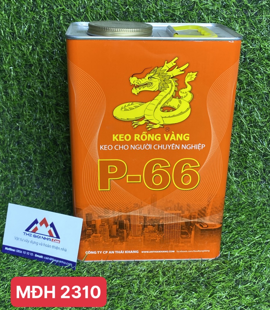 Keo rồng vàng p-66 3.3 lít (Mã đặt hàng: 2310)